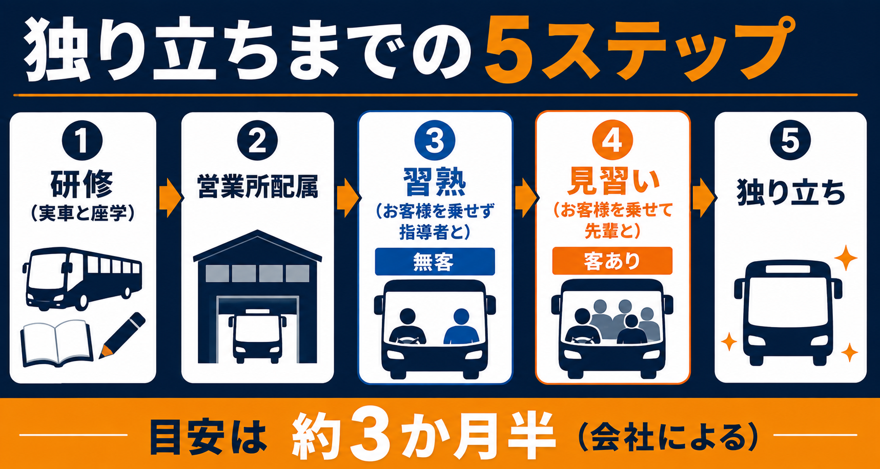 バス運転士が独り立ちするまでの5ステップ。研修（実車と座学を並行）→営業所配属→習熟（無客で指導者と乗る）→見習い（お客様を乗せて先輩と乗る）→独り立ち。目安は約3か月半